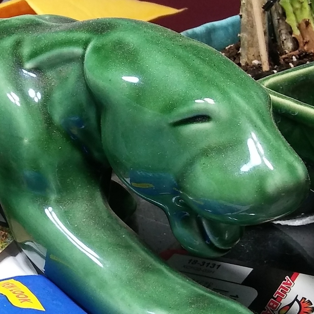 Meet your Posher, Mari